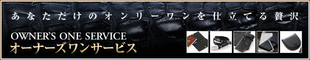 �����ʡ�����󥵡��ӥ������ʤ������Υ���꡼�����Ω�Ƥ�������