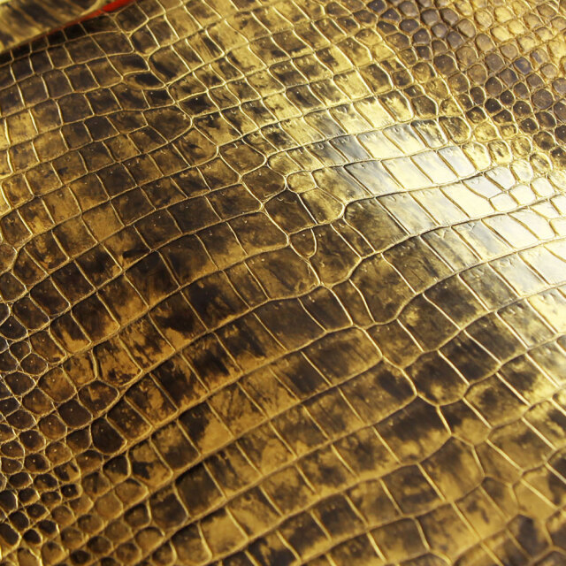 ゴールドサンシャイン